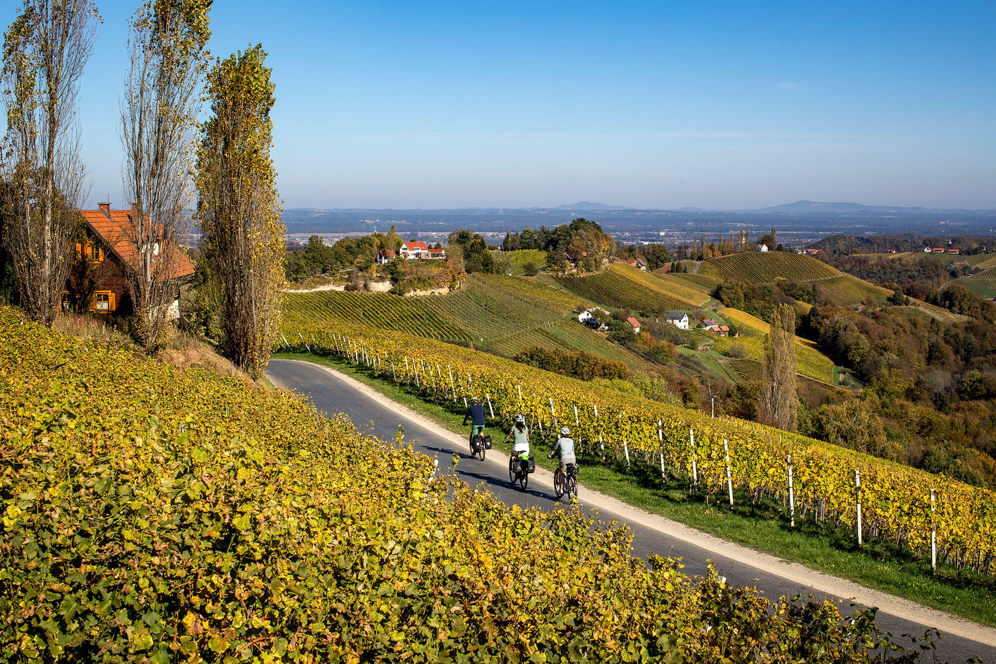 © Steiermark Tourismus / Tom Lamm