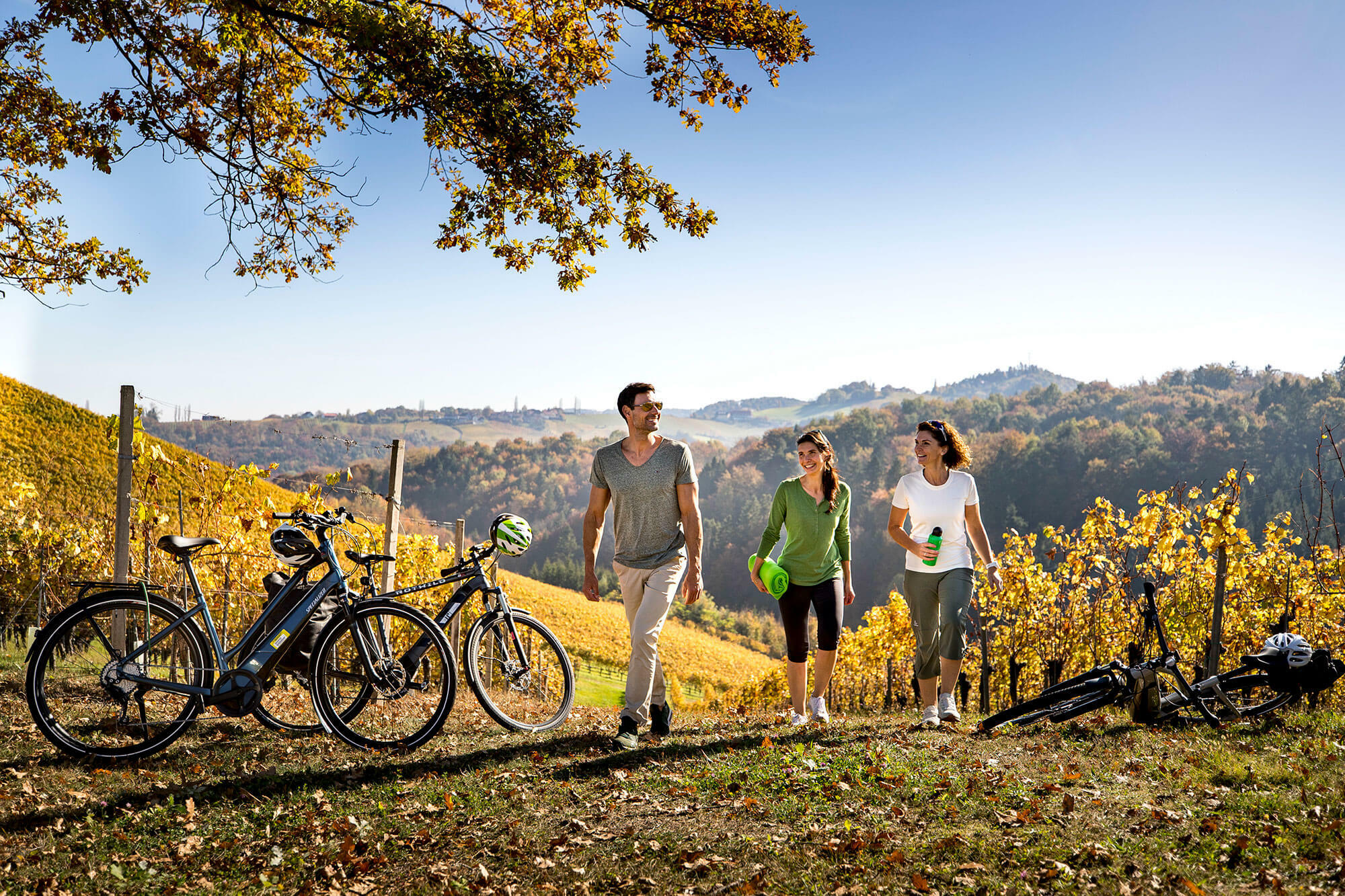 © Steiermark Tourismus / Tom Lamm