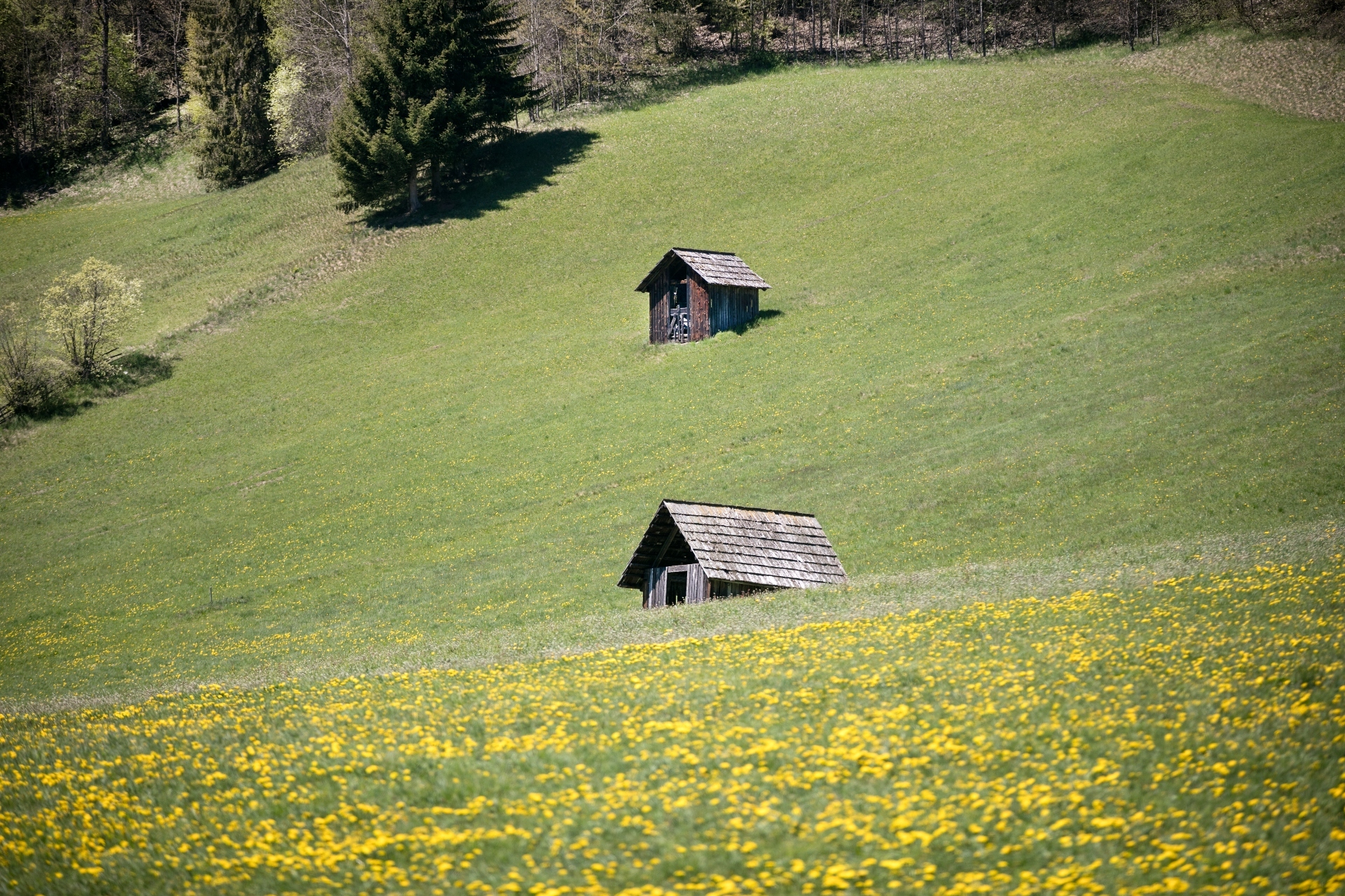 © Österreich Werbung / Harald Eisenberger