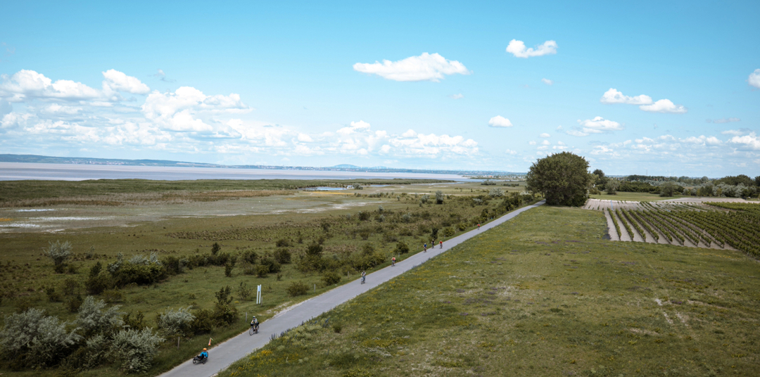 Burgenland Tourismus GmbH / Andreas Hafenscher